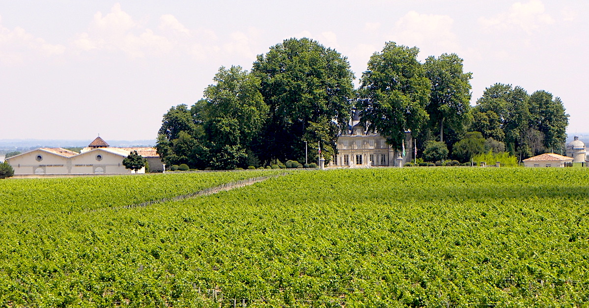 pichon-baron-vineyard-pauillac