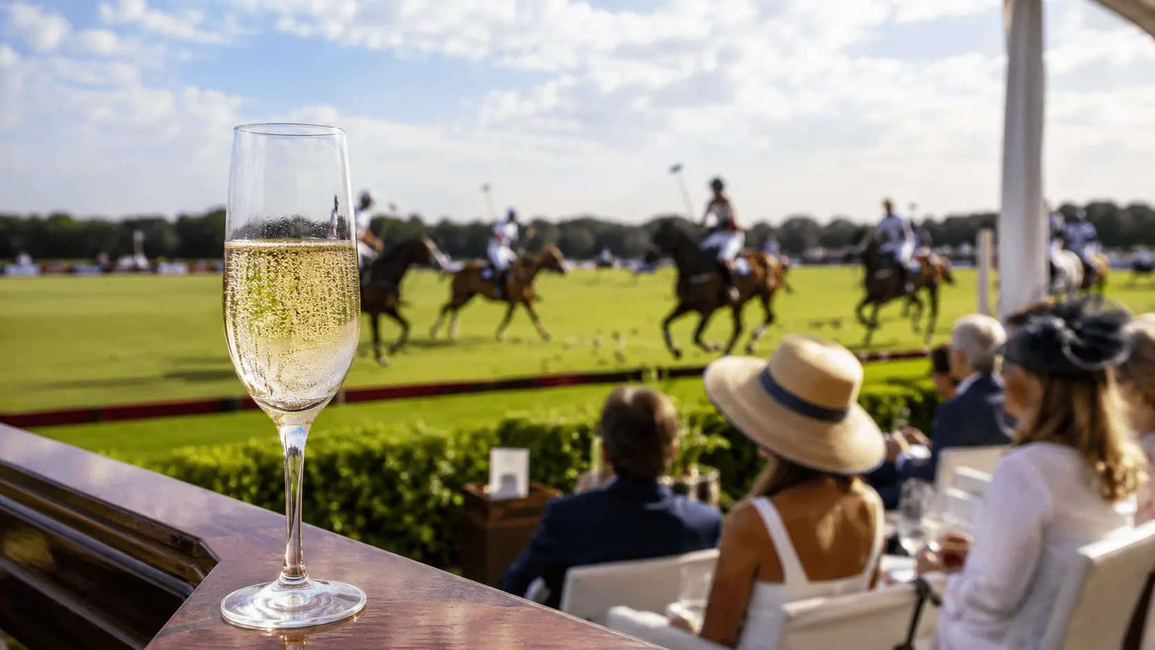Polo Champagne