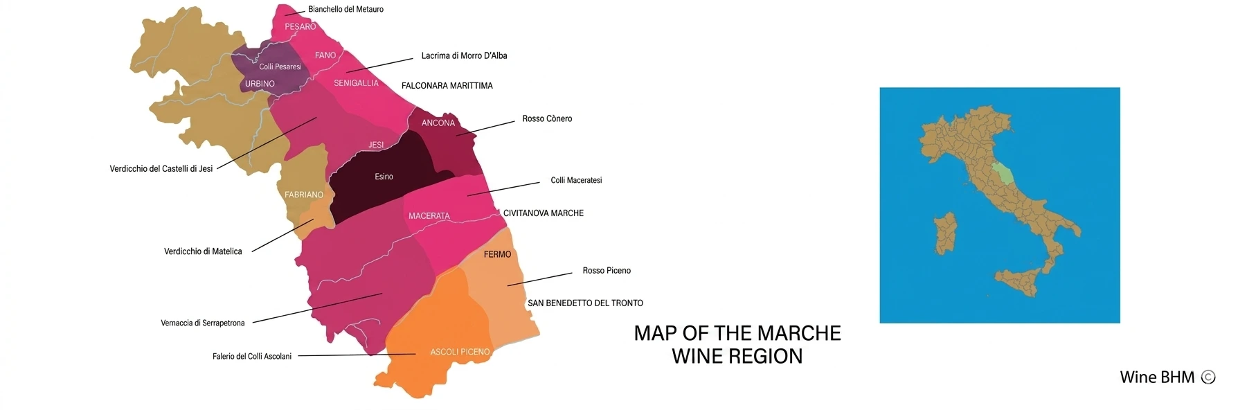 Map of the Marche wine region