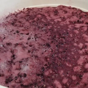 Malolactic Fermentation
