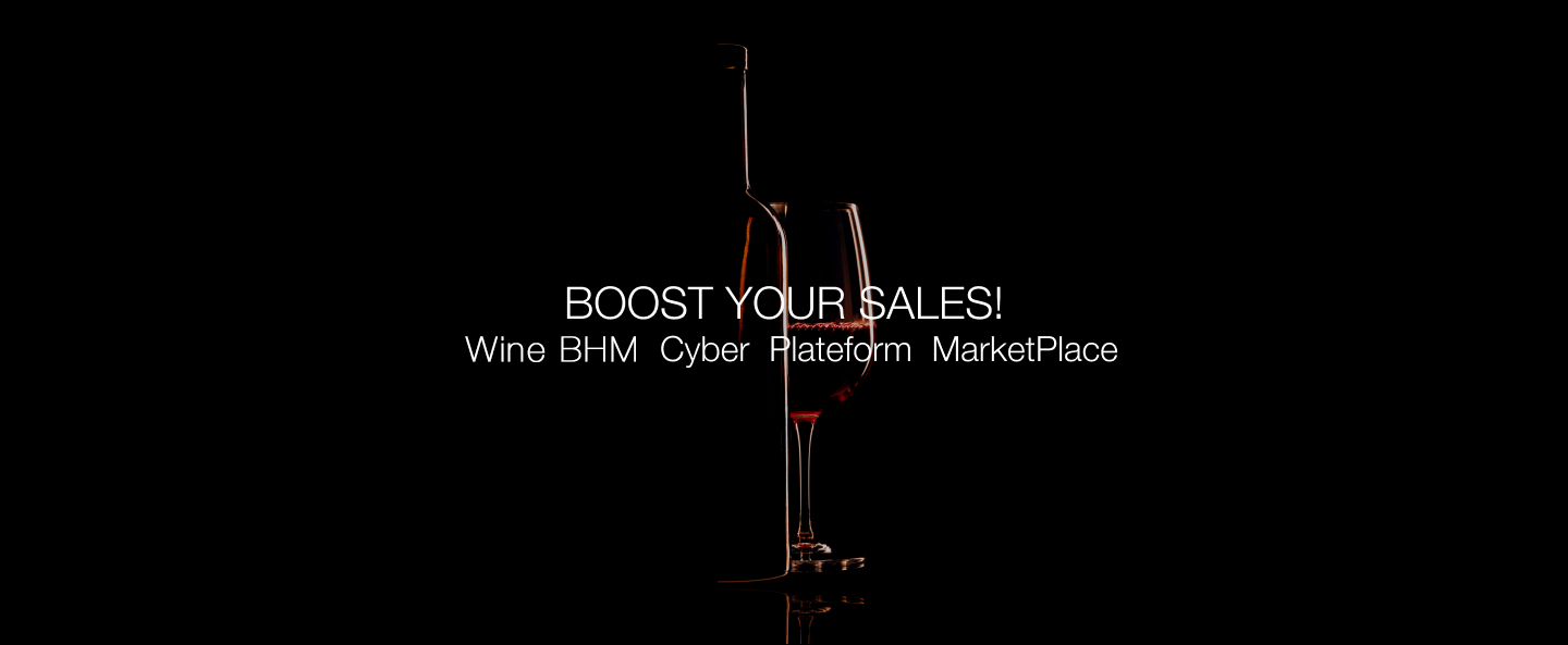 Boost your sales img