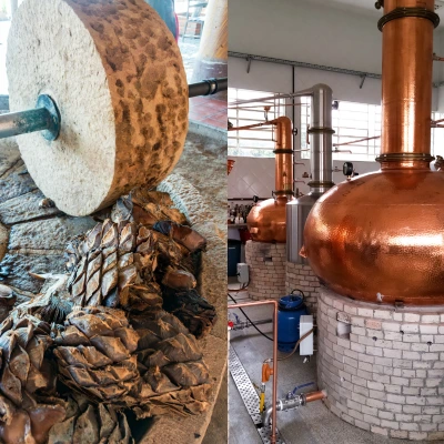 Infographie présentant les chiffres clés de la production et de l'exportation de Tequila selon le Consejo Regulador del Tequila